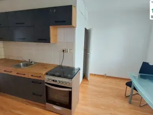 Pronájem bytu 3+1, Cheb, Lesní, 65 m2