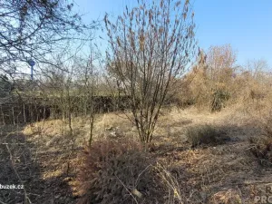 Prodej pozemku pro bydlení, Uničov, 554 m2