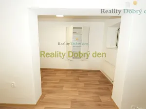 Pronájem bytu 1+1, Opava, Bochenkova, 55 m2