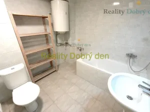 Pronájem bytu 1+1, Opava, Bochenkova, 55 m2