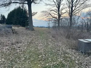 Prodej pozemku pro bydlení, Janovice nad Úhlavou, 3415 m2