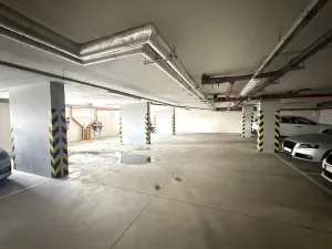 Pronájem ostatní, Brno - Žebětín, Říčanská