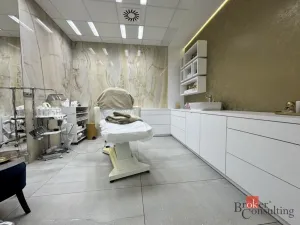 Pronájem komerční nemovitosti, Plzeň - Severní Předměstí, Otýlie Beníškové, 11 m2