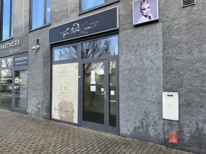 Pronájem komerční nemovitosti, Plzeň - Severní Předměstí, Otýlie Beníškové, 11 m2