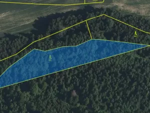 Prodej lesa, Volfířov - Brandlín, 3892 m2