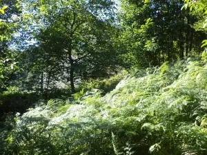 Prodej pozemku, Děčín, 675 m2