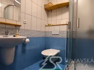 Prodej ubytování, Zdíkov - Nový Dvůr, 750 m2