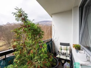 Prodej bytu 2+1, Osek, Hrdlovská, 52 m2