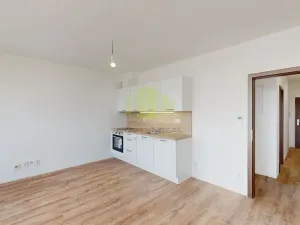 Pronájem bytu 1+kk, Olomouc, Camilla Sitteho, 35 m2