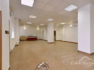 Pronájem obchodního prostoru, Újezd u Brna, Rychmanovská, 110 m2