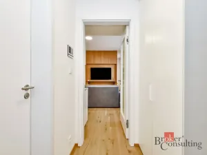 Pronájem bytu 1+kk, Praha - Nusle, Vrtbova, 36 m2