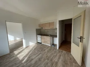 Pronájem bytu 1+1, Litvínov - Horní Litvínov, B. Němcové, 35 m2