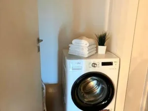 Pronájem bytu 3+kk, Plzeň - Východní Předměstí, Kartónová, 78 m2