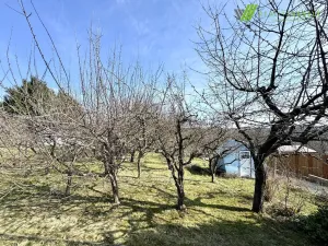 Prodej zahrady, Dyje, 511 m2