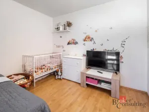 Prodej bytu 1+1, České Budějovice - České Budějovice 2, Vodňanská, 43 m2