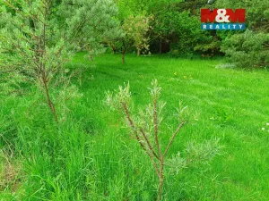 Prodej pozemku pro bydlení, Senožaty, 653 m2