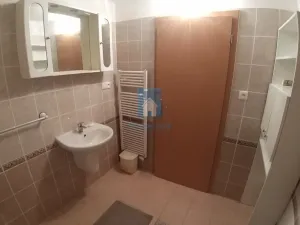 Pronájem bytu 2+kk, Plzeň, Mutěnická, 66 m2