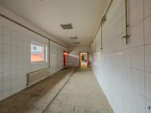 Prodej skladu, Bílovec, 650 m2