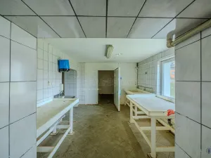 Prodej skladu, Bílovec, 650 m2