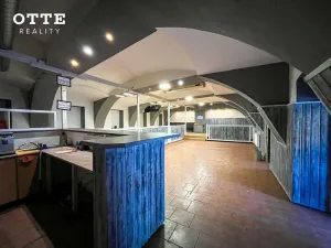 Prodej činžovního domu, Stod, U Elektrárny, 466 m2