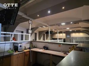 Prodej činžovního domu, Stod, U Elektrárny, 466 m2