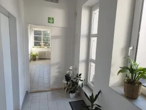 Pronájem kanceláře, Nové Město nad Metují, Komenského, 26 m2