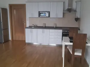 Prodej bytu 1+kk, Praha - Žižkov, Olšanská, 36 m2