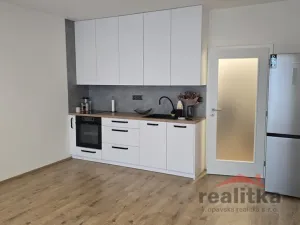 Pronájem bytu 1+kk, Opava - Předměstí, Císařského pluku, 42 m2