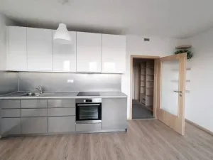 Pronájem bytu 1+kk, Plav, 40 m2