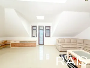 Prodej vícegeneračního domu, Hodonín, Muchova, 235 m2