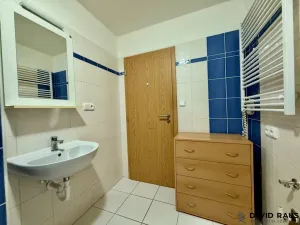 Pronájem bytu 1+kk, Brno - Královo Pole, Božetěchova, 37 m2