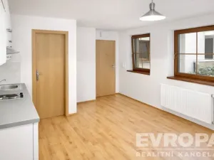 Pronájem bytu 1+kk, Praha - Braník, Na vinohradu, 21 m2