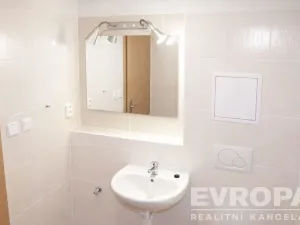 Pronájem bytu 1+kk, Praha - Braník, Na vinohradu, 21 m2