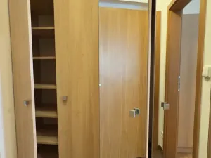 Pronájem bytu 1+kk, Brno, Vinohrady, 38 m2