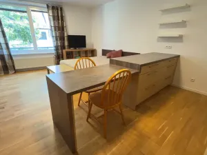 Pronájem bytu 1+kk, Brno, Vinohrady, 38 m2