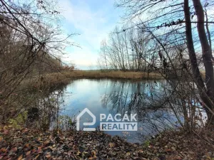 Prodej pole, Kožušany-Tážaly - Kožušany, 15995 m2