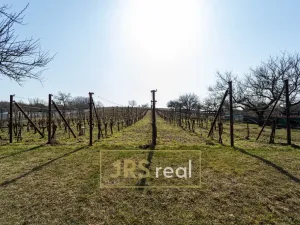 Prodej - jiné, Valtice - Úvaly, 101 m2