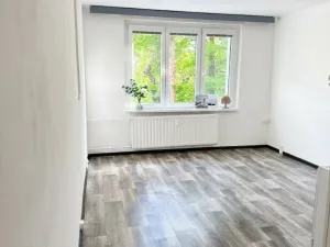 Pronájem bytu 1+kk, Sokolov, Švabinského, 20 m2