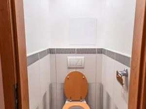 Prodej bytu 2+1, Plzeň - Bolevec, Ledecká, 61 m2