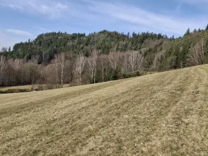 Prodej louky, Ústí nad Orlicí - Kerhartice, 49647 m2