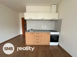 Pronájem bytu 1+kk, Opava, Hálkova, 33 m2