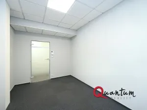 Pronájem kanceláře, Praha - Vinohrady, Šafaříkova, 123 m2