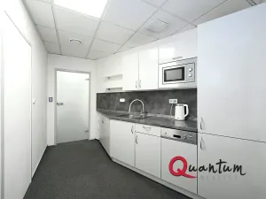 Pronájem kanceláře, Praha - Vinohrady, Šafaříkova, 123 m2