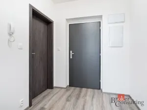Pronájem bytu 1+kk, Heřmanova Huť - Vlkýš, U Pondu, 36 m2