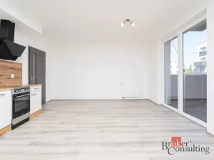 Pronájem bytu 1+kk, Heřmanova Huť - Vlkýš, U Pondu, 36 m2