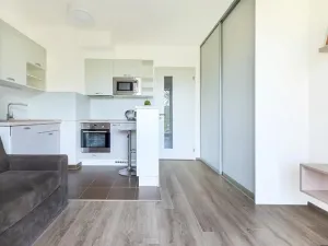 Prodej bytu 1+kk, Praha - Žižkov, Olgy Havlové, 26 m2