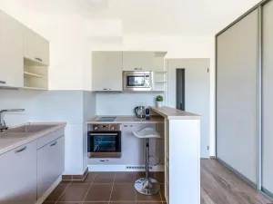 Prodej bytu 1+kk, Praha - Žižkov, Olgy Havlové, 26 m2