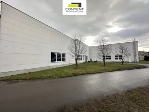 Pronájem výrobních prostor, Litvínov - Záluží, 7684 m2