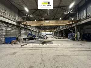 Pronájem výrobních prostor, Litvínov - Záluží, 7684 m2