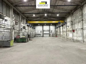 Pronájem výrobních prostor, Litvínov - Záluží, 7684 m2